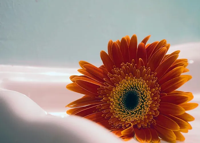 Boutique Real De Liena Con Jacuzzi En 